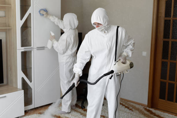 Affordable Infectious Disease Decontamination solutions in Livingston, TN